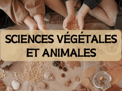 Sciences Végétales et Animales – 2ème BAC SA