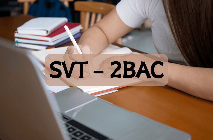 svt-sgemath_pc_sm_svt_se_stm_ste_2bac_bac_2025_2025_2030