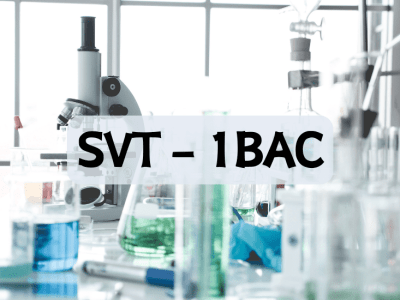 Sciences de la Vie et de la Terre – 1èr BAC SX