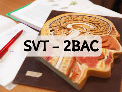 Sciences de la Vie et de la Terre – 2ème BAC SVT