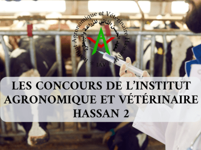 LES CONCOURS DE IAV